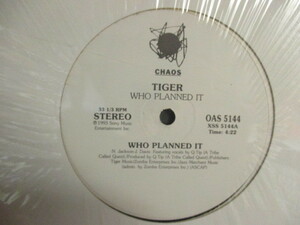Tiger Feat. Q-Tip ： Who Planned It 12'' // HipHop Reggae / Dancehall ダンスホール / 落札5点で送料無料