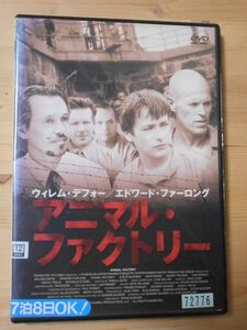 レンタル落ち・多少ジャケ難あり アニマル・ファクトリー ・DVD エドワード・ファーロング ウィレム・デフォー