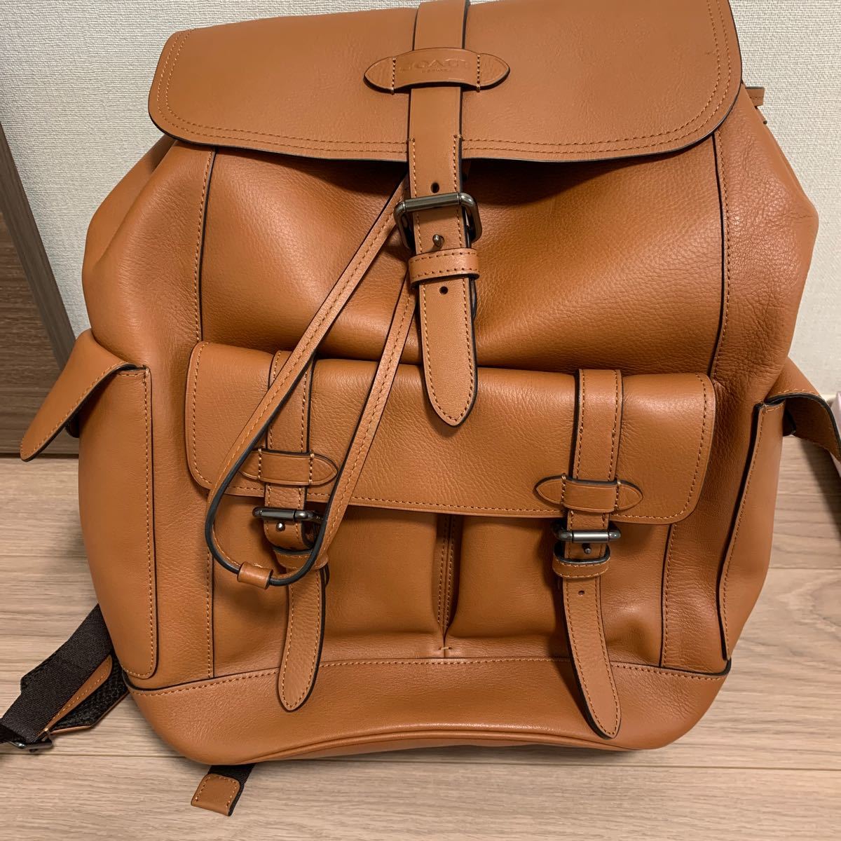 希少 レア 美品 コーチ COACH バックパック 23 ウィズ ローズ 希少 レア 美品 コーチ COACH バックパック 23 ウィズ ローズ