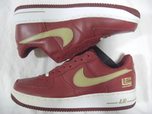 新品 DS 2004 NIKE AIR FORCE 1 LOW "LEBRON JAMES" US9.5 (306353-671) (L-15-4)_画像3