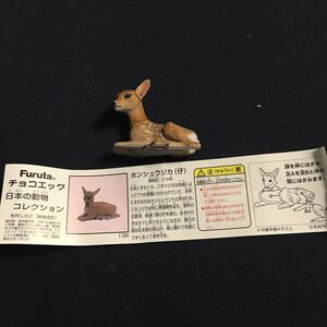 フルタ★日本の動物第5弾★ホンシュウジカ★単品★ミニブック付き★シリーズ5★海洋堂★松村しのぶ監修★チョコエッグ ★日本の動物