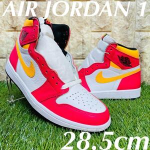 即決 ナイキ エアジョーダン 1 レトロ ハイ OG NIKE AIR JORDAN 1 RETRO HIGH OG メンズ スニーカー 28.5cm 送料込み 555088-603