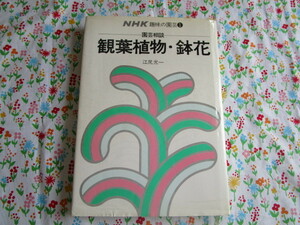 A NHK хобби. садоводство [ садоводство консультации декоративное растение * цветочный горшок ].. свет один работа ~ Япония радиовещание выпускать ассоциация выпуск обложка покрытие . царапина есть 