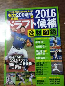 2016ドラフト候補逸材図鑑　ベースボールマガジン1月号増刊　　1161い12