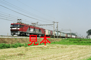 鉄道写真、35ミリネガデータ、134441540005、EH500-7＋貨物、JR東北本線、蓮田～東大宮、2002.09.12、（2840×1883）