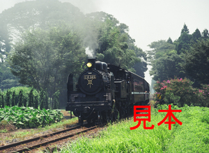 鉄道写真、645ネガデータ、133741520001、C11-325＋50系、真岡鐵道、多田羅～市塙、2002.08.08、（4379×3207）