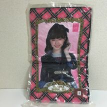 AKB48 島崎遥香 タレント 女優 ビッグ クッション BIG ぱるる 非売品 希少 レア 新品 未使用品 未開封品_画像1