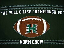 ★古着 美品 HAWAII ハワイ UNIVERSITY OF HAWAII UH ハワイ大学 WARRIORS Tシャツ M 緑 アメリカンフットボール NORM CHOW ノームチャウ★_画像8