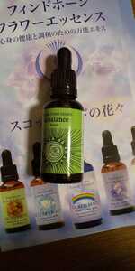  fins do horn li balance flower essence /// 30m first aid organic fin8