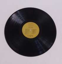 RCD-112 GOLD DISC MICHEL POLNAREFF ミッシェルポルナレフ LP レコード_画像3
