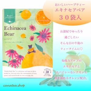 エキナセアベア ティーバック30袋入 生活の木おいしい ハーブティー