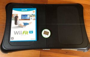 Wii Fit バランスボード