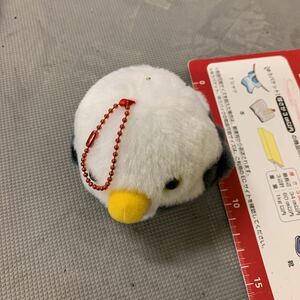 ことり隊 ミニぬいぐるみ　ハクトウワシ