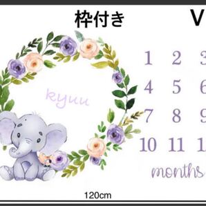赤ちゃん寝相レターシーツ アートシーツ V象さん おまけ付き