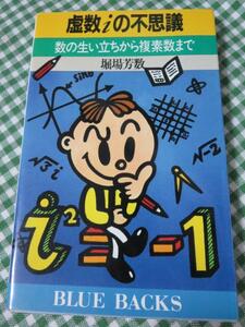 虚数iの不思議 数の生いたちから複素数まで ブルーバックス/堀場 芳数