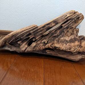 ☆天然流木 水槽 1点物 アクアリウム オブジェ アート 30×13×9.5cm 大和川河口 爬虫類 インテリア