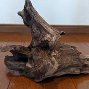 ☆天然流木 水槽 1点物 アクアリウム オブジェ アート 26×19×12cm 大和川河口 爬虫類 インテリア