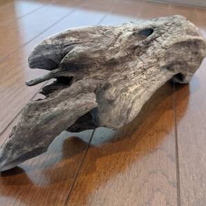 ☆天然流木 水槽 1点物 アクアリウム オブジェ アート 27.5×10×7cm 大和川河口 爬虫類 インテリア