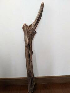 * natural driftwood aquarium 1 point thing aquarium objet d'art art 59.5×12×5.5cm Yamato river reptiles interior large lizard snake 