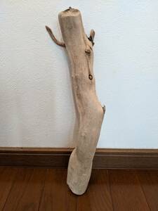 * natural driftwood aquarium 1 point thing aquarium objet d'art art 36×10.5×7.5cm Yamato river outfall reptiles campaign 5 point and more. successful bid . half-price sale 
