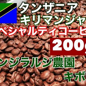 キリマンジャロ　タンザニアカンジラルジ農園 スペシャルティコーヒー 200g