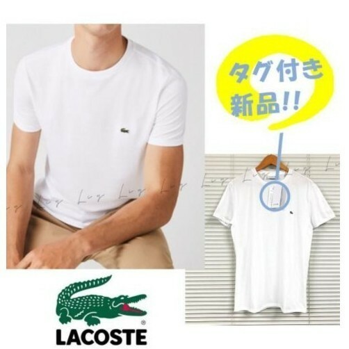 ☆新品未使用☆LACOSTE☆ワンポイント☆ Tシャツ☆白☆Mサイズ☆ 半袖Tシャツ☆大人☆