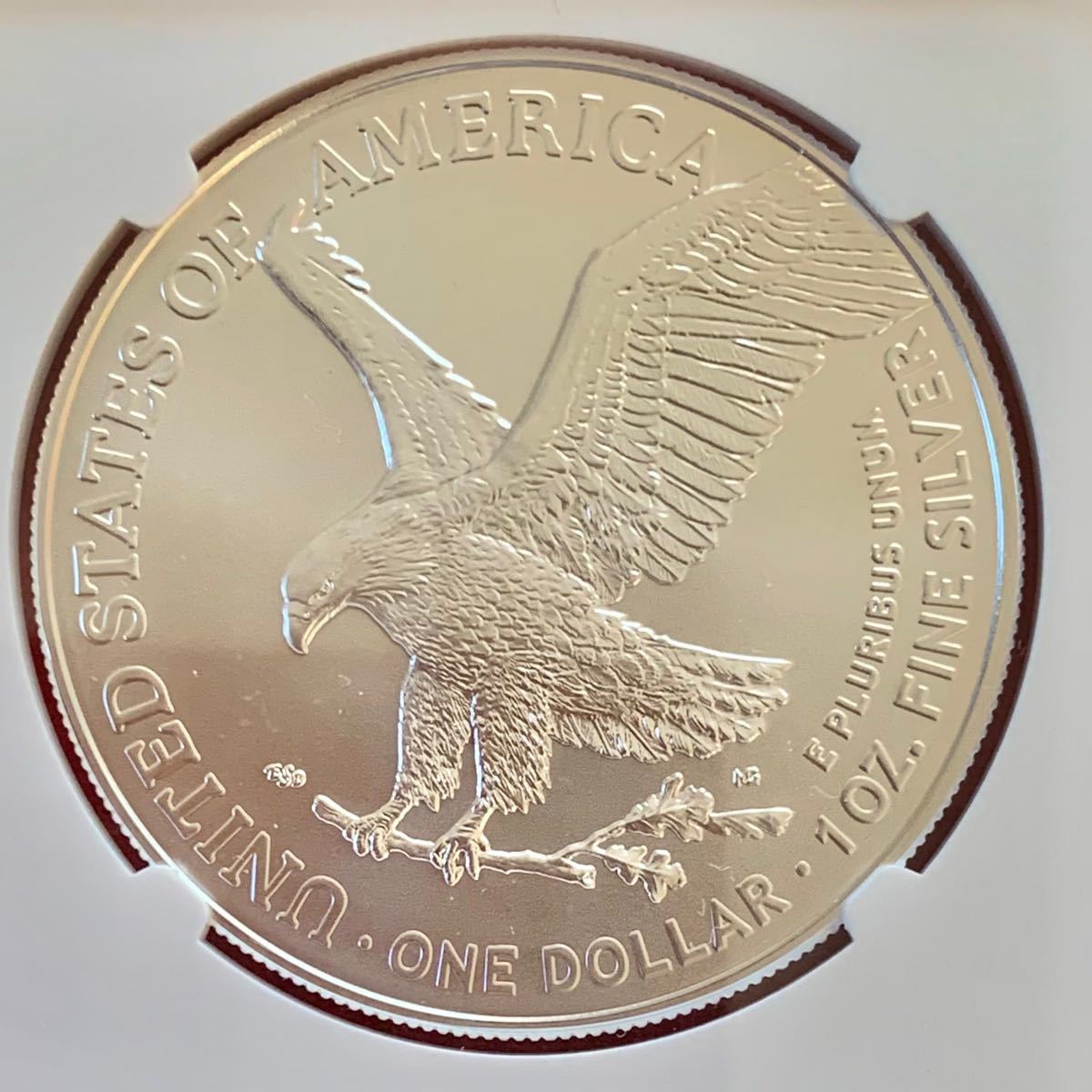 NGC 最高鑑定 2014 MS70 マン島 イギリス 銀貨 エンジェル|PayPayフリマ