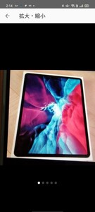 iPadプロ第4世代128GB Wi-Fiモデル Apple美品