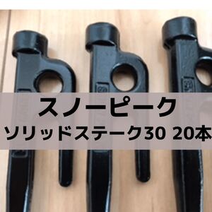 snow peak(スノーピーク) ソリッドステーク30 20本セット