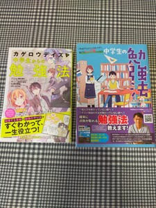 中学生の勉強法・カゲロウデイズで中学生からの勉強法
