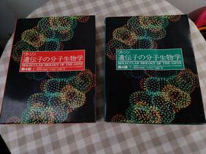 中古書籍「ワトソン　遺伝子の分子生物学　第4版上下」2冊セット