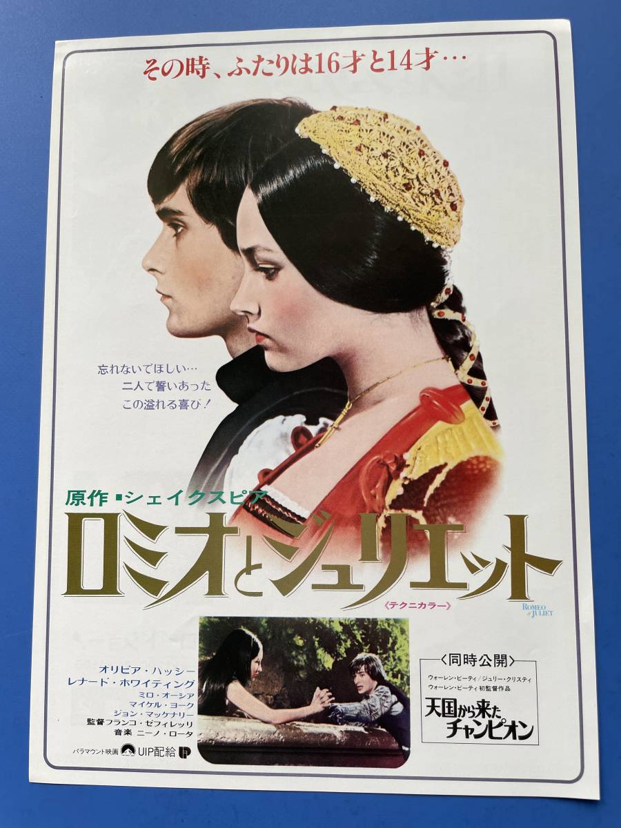 楽天カード分割 631 ロミオとジュリエット 映劇チラシ ローレンス ハーヴェイ スーザン シェントール レナート カステラーニ その他 Labelians Fr