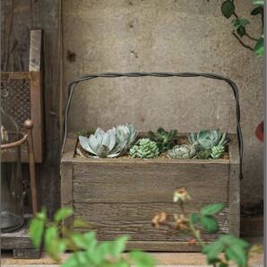 古風 植木鉢 多肉植物鉢