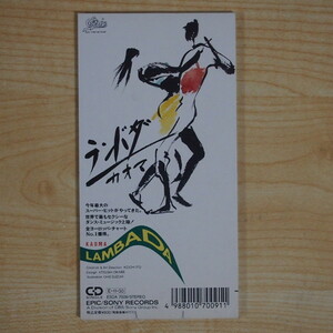 送料無料 即決 599円 8cm CDS ランバダ カオマ LAMBADA KAOMA