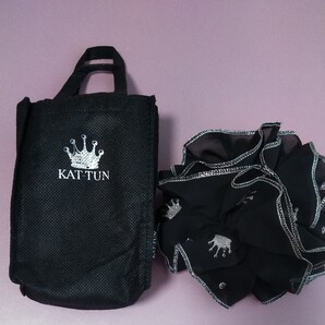 KAT-TUN シュシュ ライブツアー2010 亀梨和也 未使用品 ミニバッグ