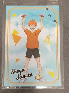 日向 / ハイキュー!! 成田アニメデッキコラボ ポストカード 紙飛行機Ver