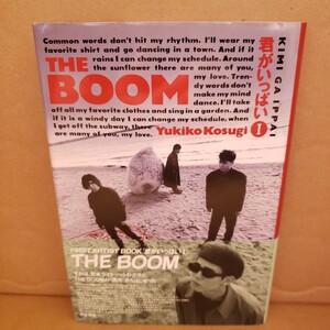 THE BOOM 君がいっぱいⅠ