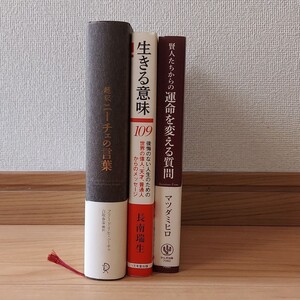 ニーチェの言葉他 自己啓発本【まとめ売り】