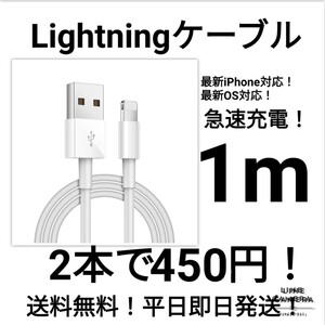 【2本 No.2】iPhone高速充電/通信対応ライトニングケーブル