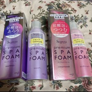 《期間限定特別価格》セグレタプレミアムスパフォーム本体 ×2つけかえ用 ×2