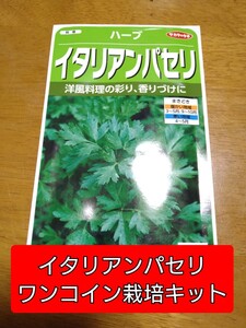 ワンコインイタリアンパセリ栽培キット