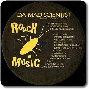 【○09】Da' Mad Scientist/Never Fear/12''/Maintain/'90s Indie Rap/Jean Jasmin/Phase N' Rhythm/Brokin English Klik