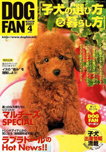 DOG FAN (ドッグファン)　2007年４月号　マルチーズ 他 【雑誌】