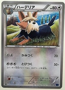 ハーデリア　ポケモンカード　XY1　050/060　2013　ポケカ