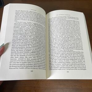 ●洋書●Anglo-American Landscapes/A Study of Nineteenth-Century Anglo-American Travel Literature/英語/外国語/文学/小説★696 2108の画像10