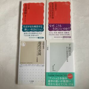 「生活保障」宮本太郎、「生き方の不平等」白波瀬佐和子、「現代の貧困」岩田正美、「下流社会」三浦展　新書4冊セット