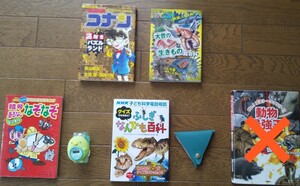 動物、最強王、図鑑と腕時計、小銭入れ。