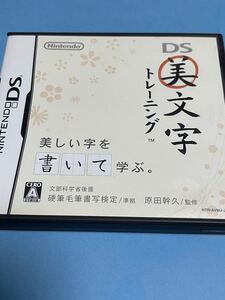 DS 美文字トレーニング 任天堂