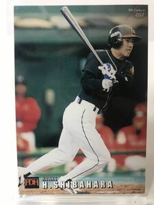 柴原洋　202 カルビープロ野球チップス　99 ノーマルカード　　福岡ダイエーホークス