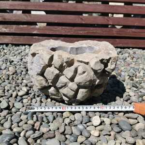 .. production three rice field river stone pot stone pot pot turtle . stone appreciation stone stone tray stone suiseki st ornament objet d'art interior cactus red bepakipotiumgla drill s